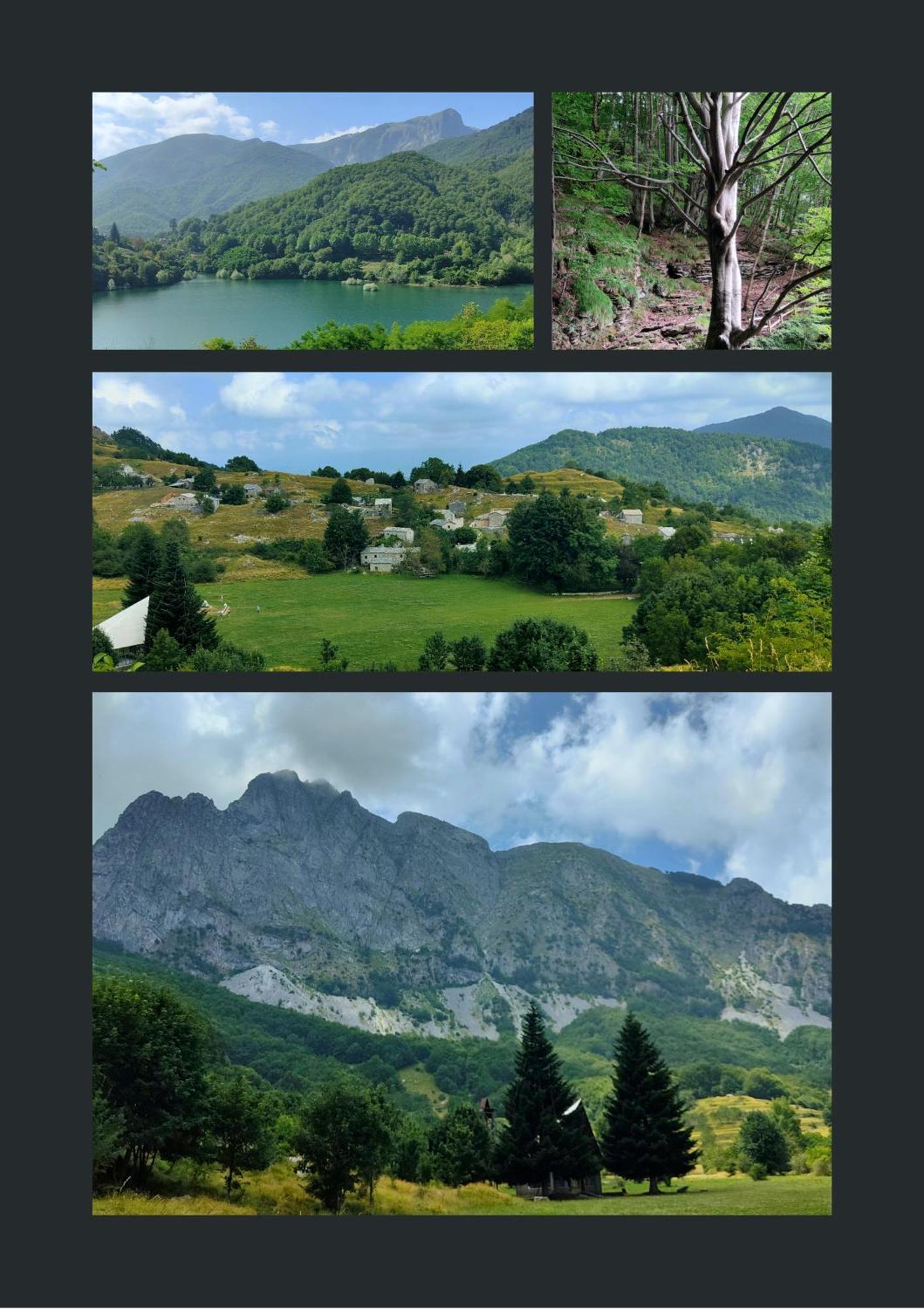 Borgo Del Sole Agriturismo Poggio  ภายนอก รูปภาพ